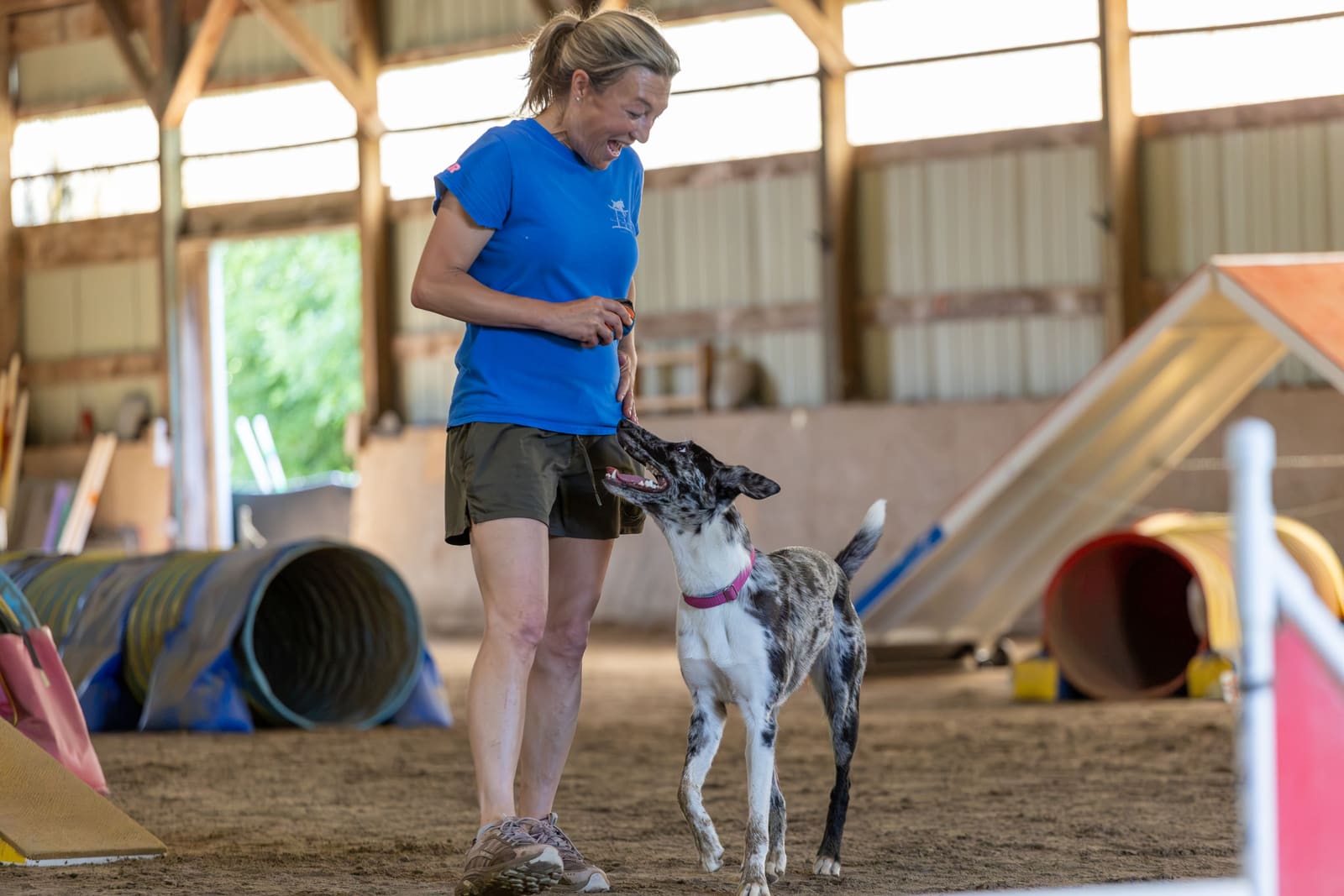 A Bar Stars instructor rewarding a dog during training